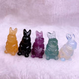 Little Bunny，$3 each Free shipping over $200