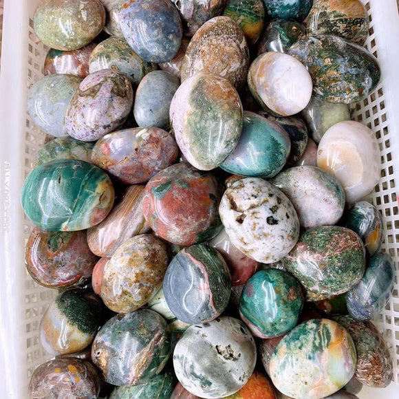 Ocean jasper palm,$38 per kilogram