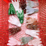 Dragon's head,$22 each one