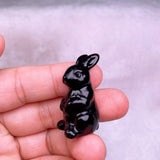 Little Bunny，$3 each Free shipping over $200