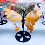 Butterfly wings,$26 a set