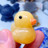 duck