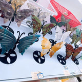 Butterfly wings,$26 a set