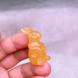Little Bunny，$3 each Free shipping over $200