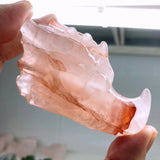 Dragon's head,$22 each one