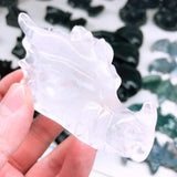 Dragon's head,$22 each one
