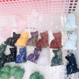 cat,$10 each one