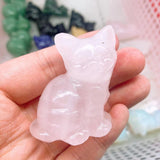 cat,$10 each one