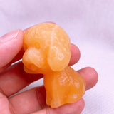 Teddy   USD 11 each