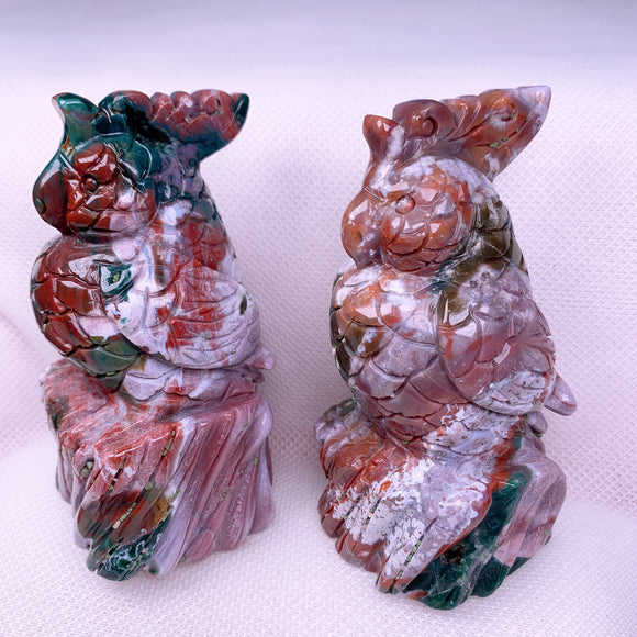 Ocean Jasper Parrot USD 40 each