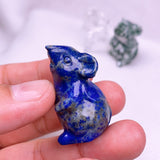 mouse USD 3 each