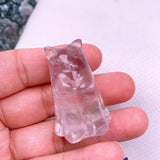 ghost cat USD 3 each