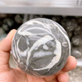 Shell Jasper sphere，30 dollars per kilogram.