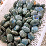 Labradorite palm,$50 per kilogram