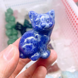 cat,$10 each one