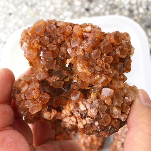 Aragonite specimen, 75 dollars per kilogram. Free shipping over $200